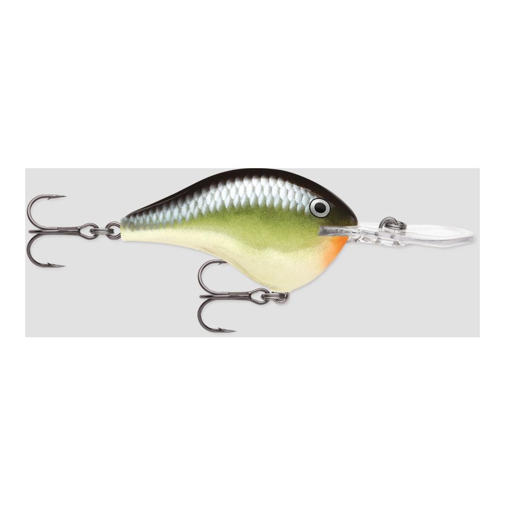 DT® (DIVES-TO) SERIES – Poisson nageur