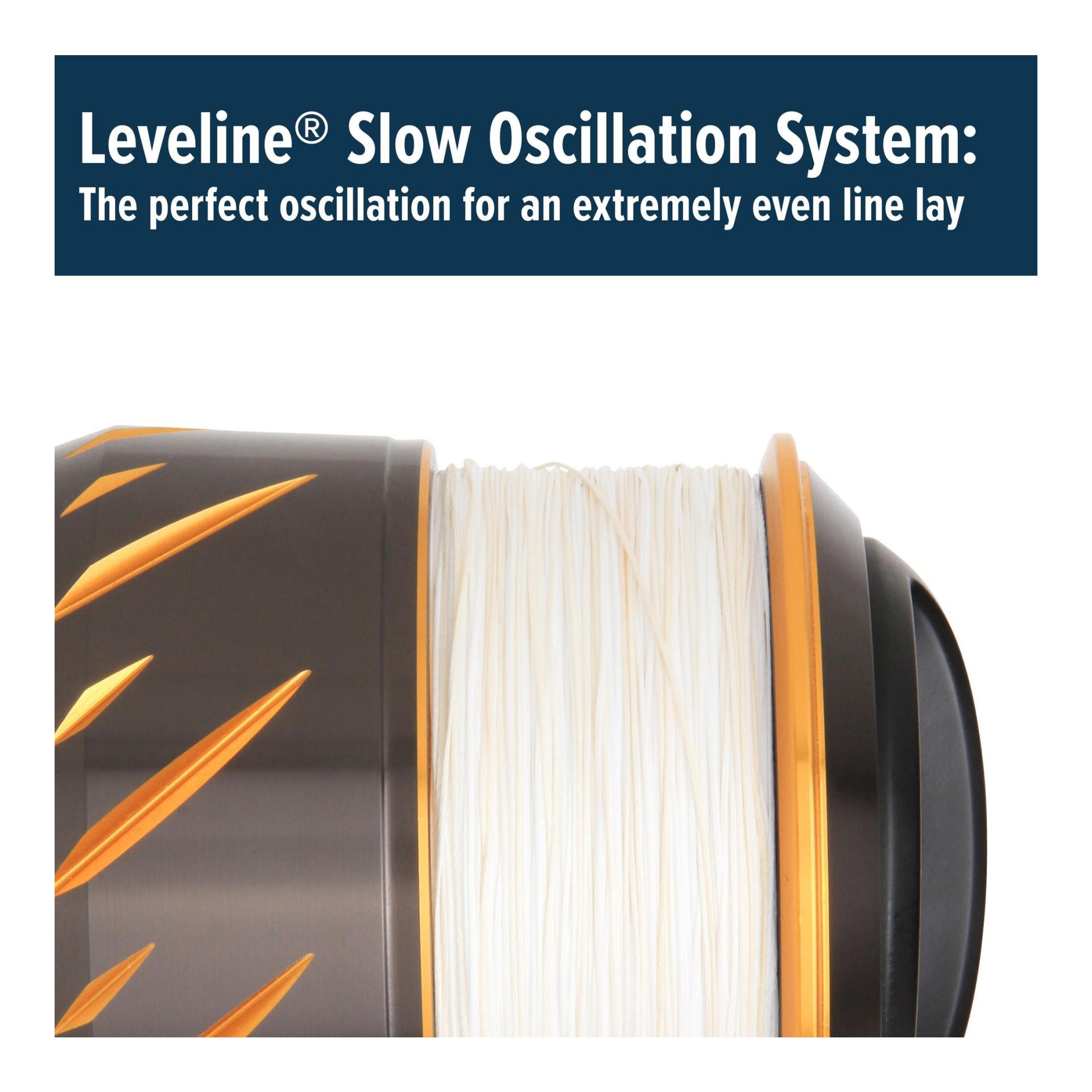 Authority - Salzwasser- und Welsrolle