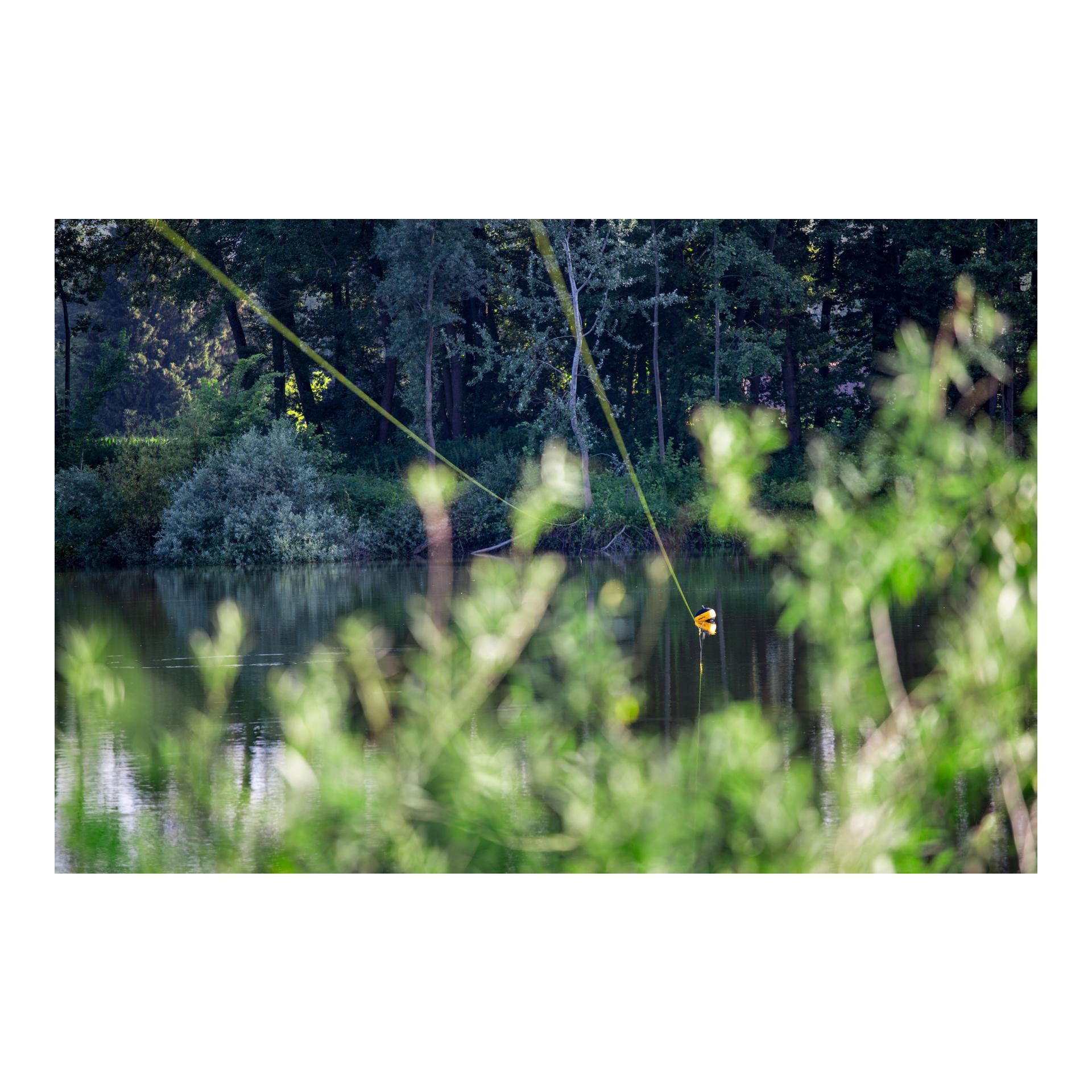 Black Cat Zeus Line G2, 250m