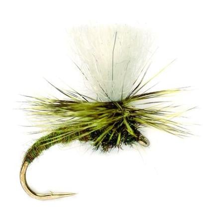 Klink Lt Olive - Trockenfliege
