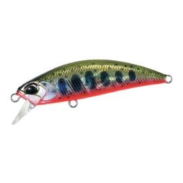 Yamame Red Belly