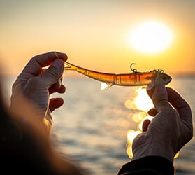 KAT-Gummiköder_Westin