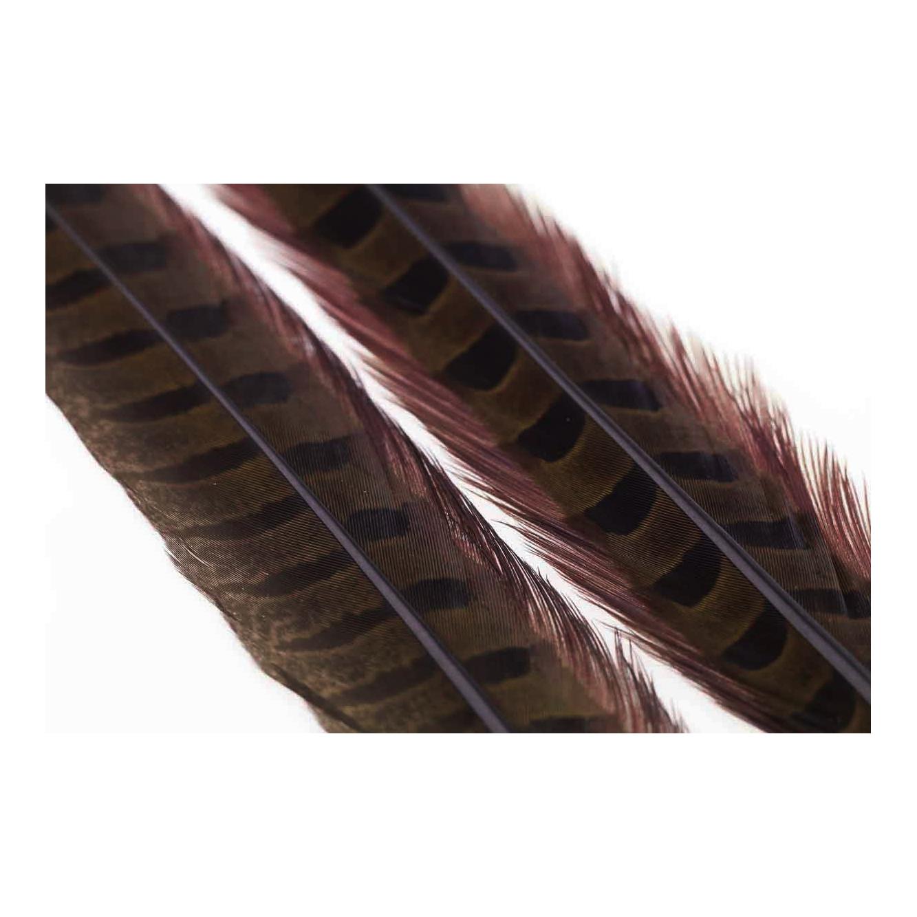 Image of Wapsi Ringneck Pheasant Tail Feathers Chocolate Brown - Fasan bei fischen.ch