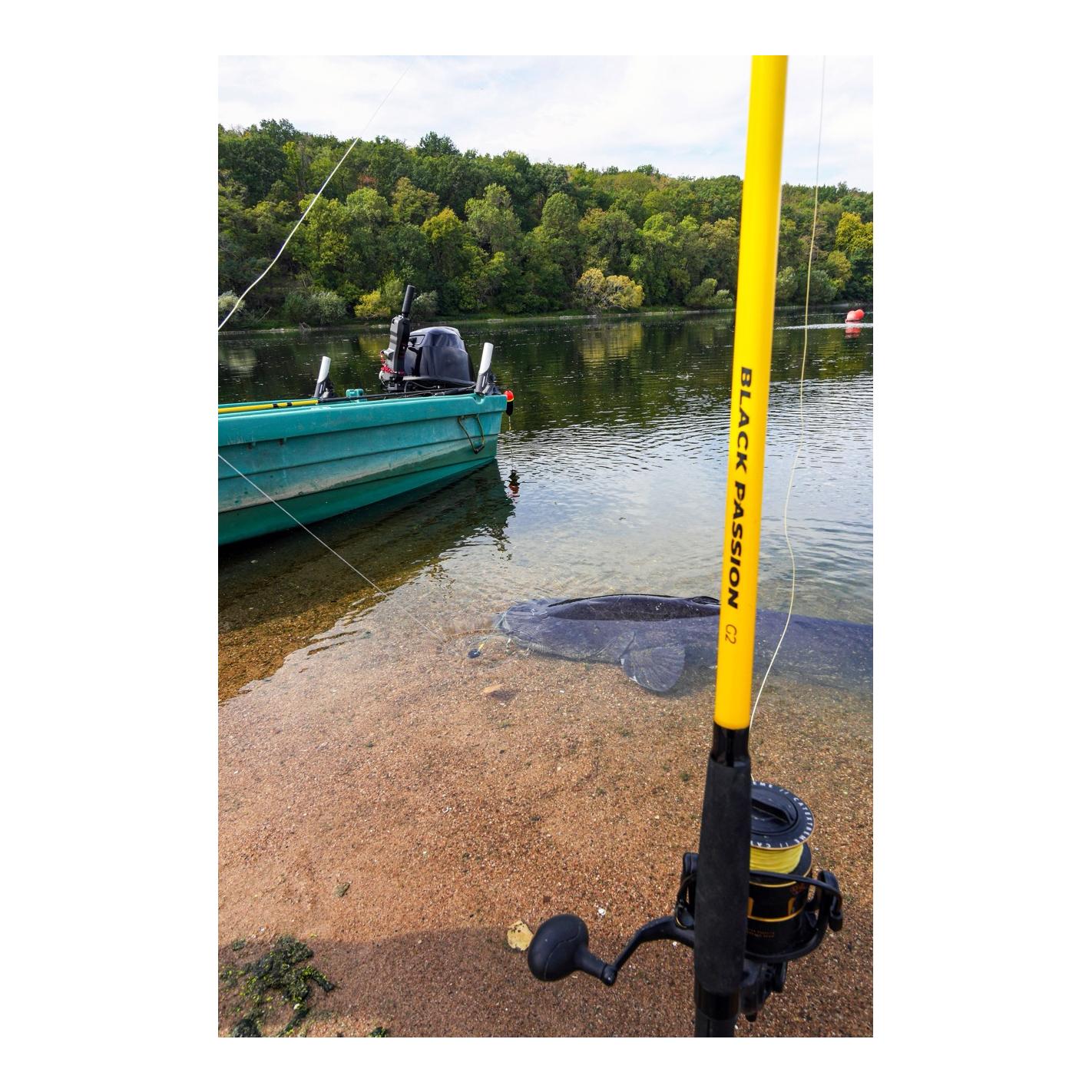 Black Cat Black Passion G2 Spin – Welsrute