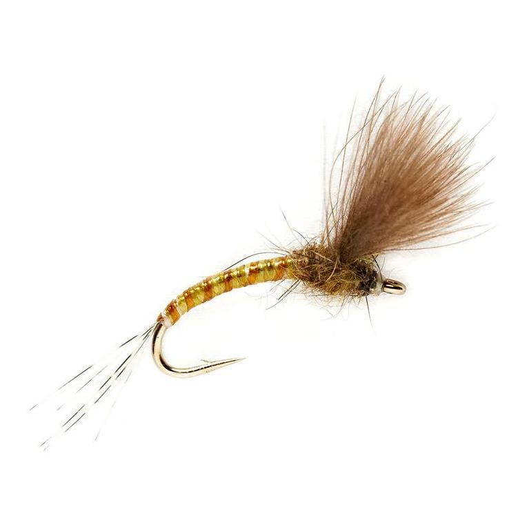 Image of Fulling Mill KJ Olive Emerger - Trockenfliege bei fischen.ch