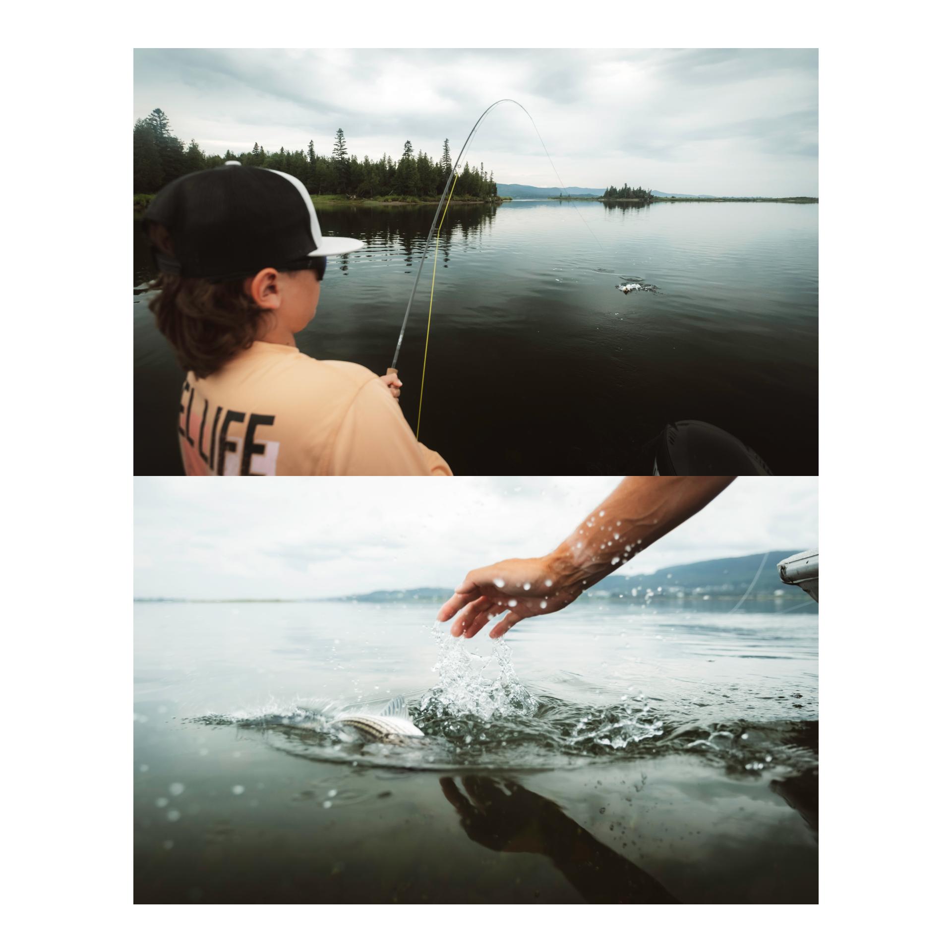 Fliegenrute VOR Serie