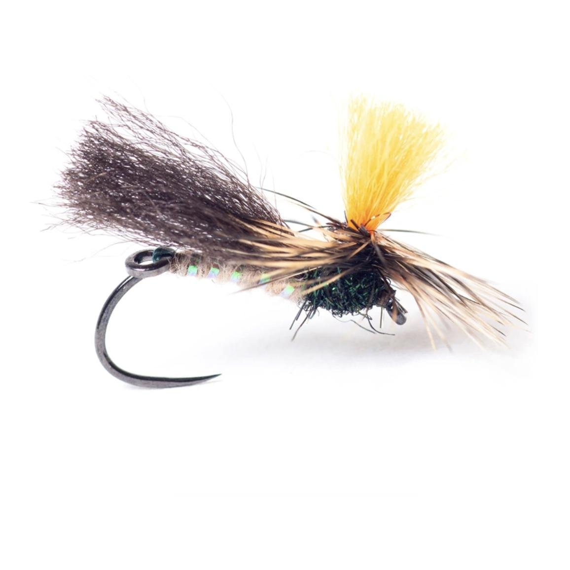 Indi Caddis