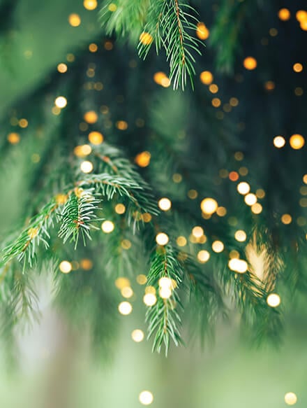 fischen-adventskalender