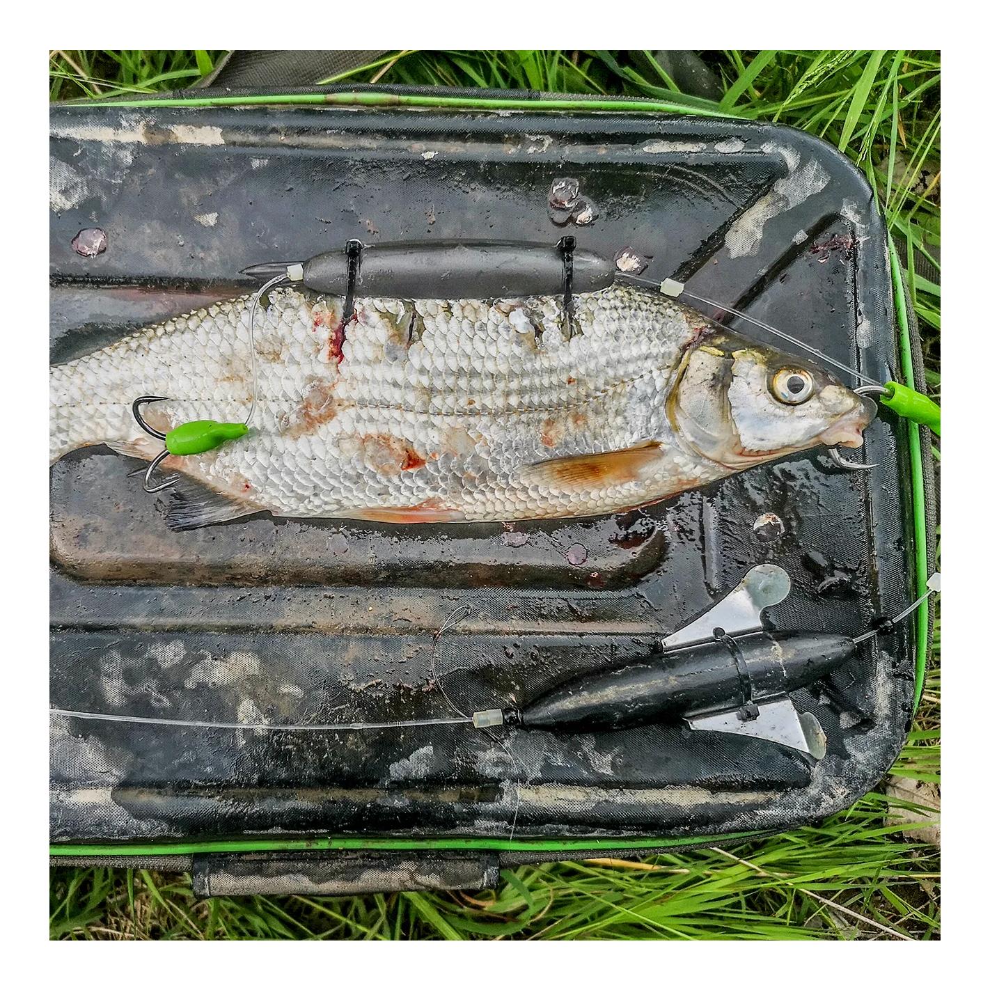 Deadbait U-Float - U-Pose