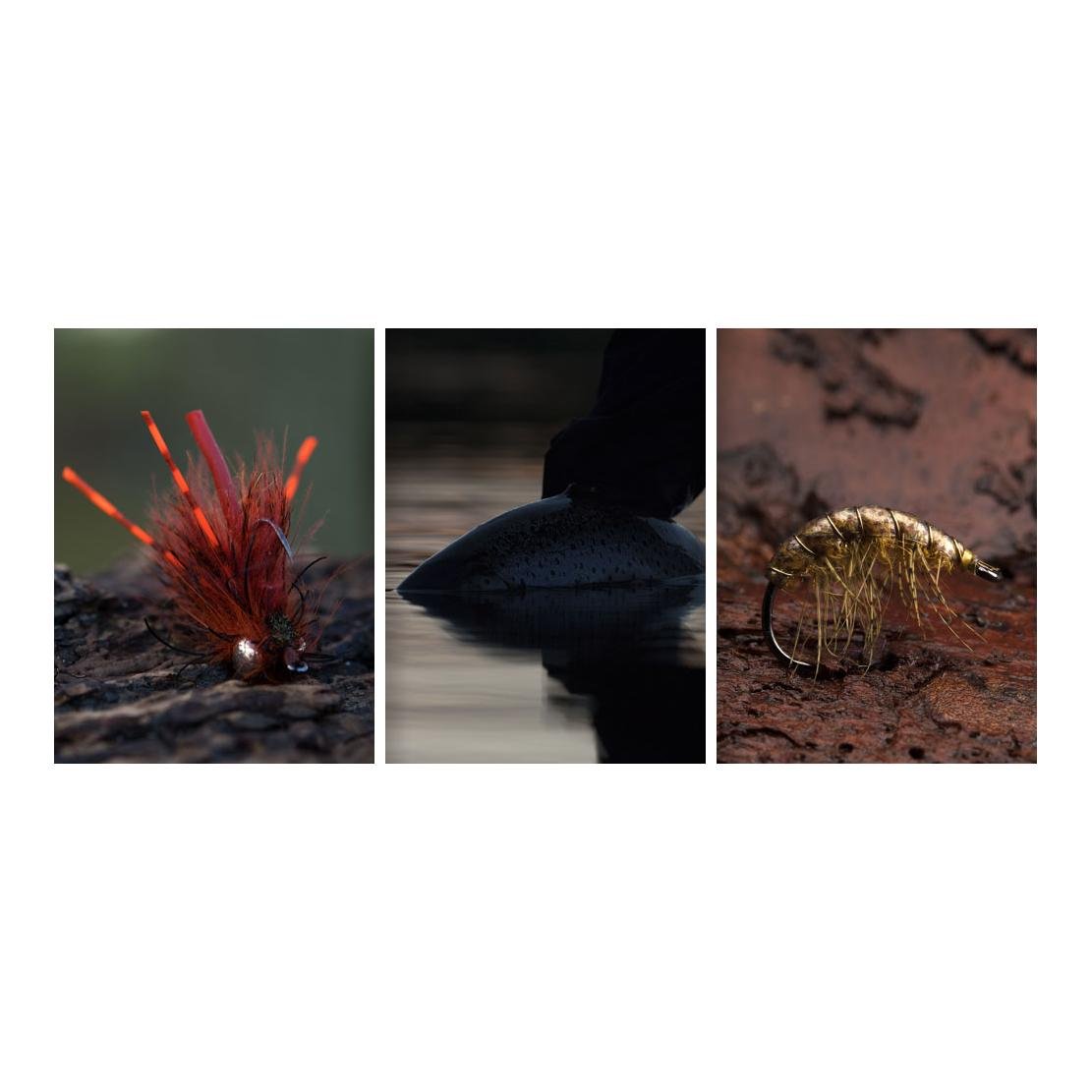 NS172 - Curved Gammarus - Haken