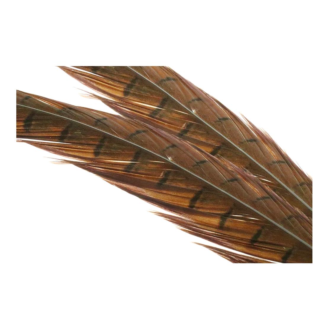 Image of Wapsi Ringneck Pheasant Tail Feathers Natural - Fasan bei fischen.ch