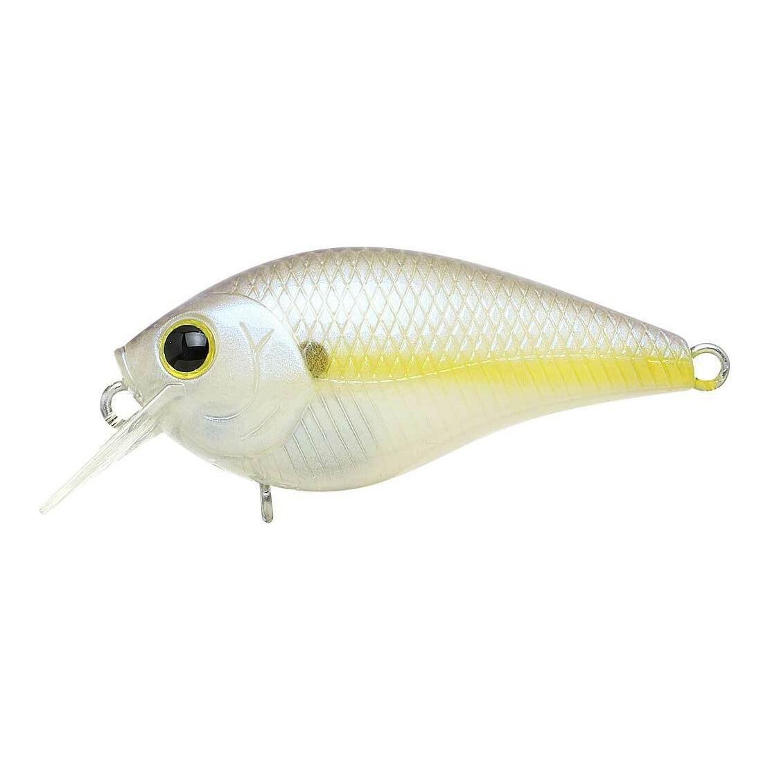 Chartreuse Shad