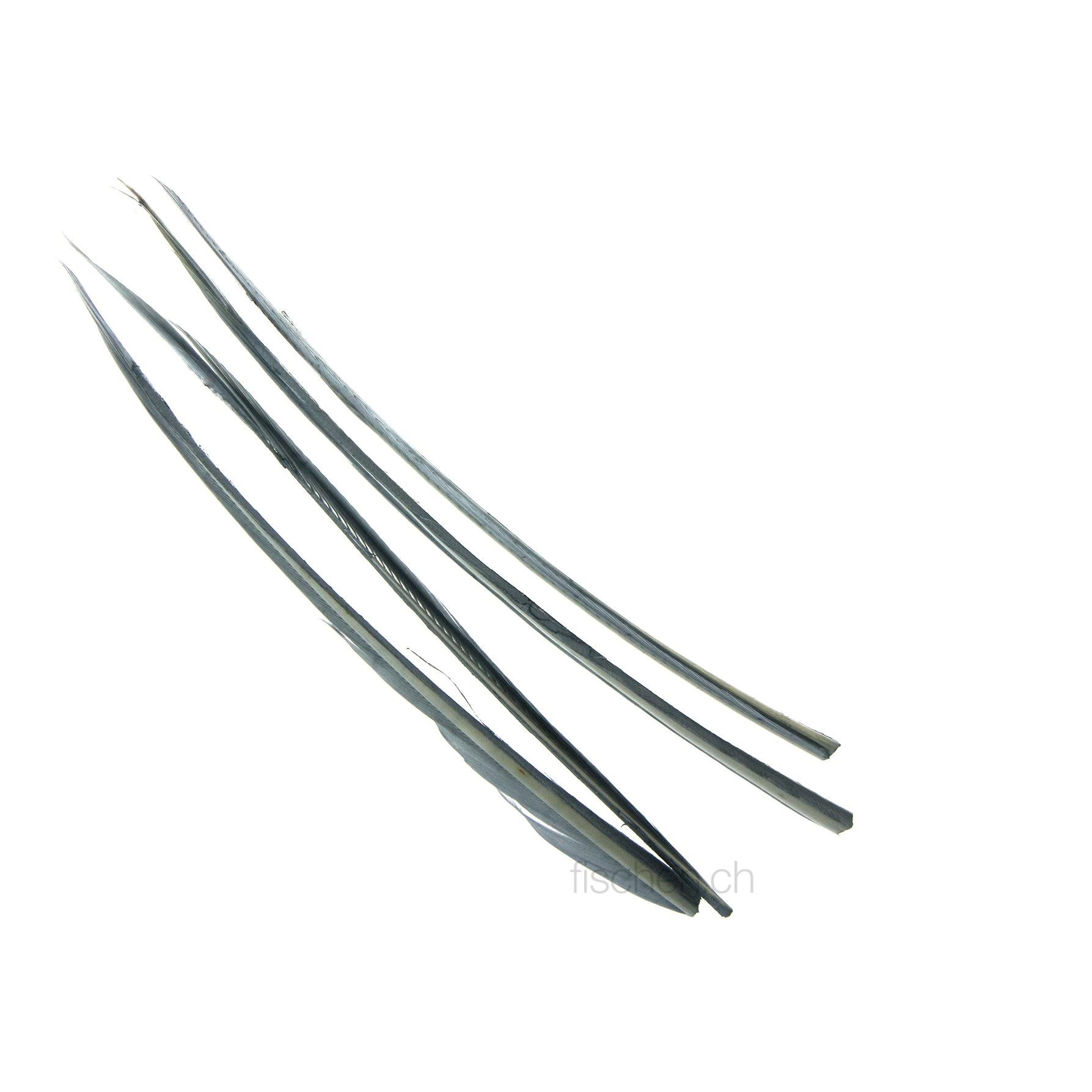 Image of Wapsi Stripped Turkey Biots - Blue Dun - Truthahn bei fischen.ch