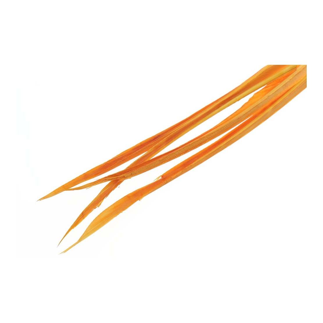 Image of Wapsi Stripped Turkey Biots - Amber - Truthahn bei fischen.ch