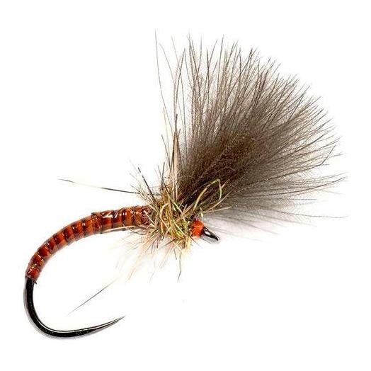 Image of Fulling Mill Quill CdC Emerger Orange o.W. - Trockenfliege bei fischen.ch