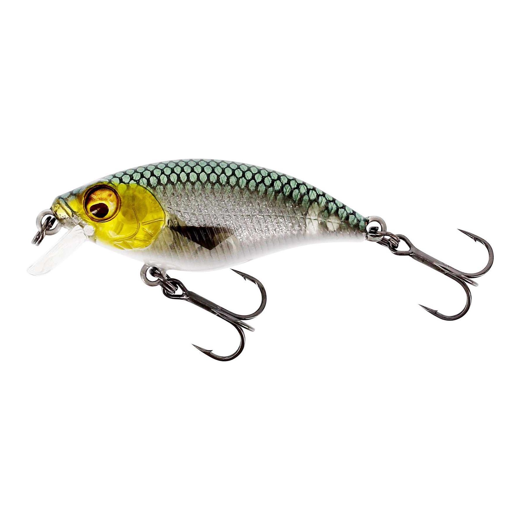 Buzzbite SR – Crankbait