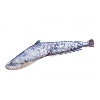 Gaby Wels Mini 62cm - Stofffisch