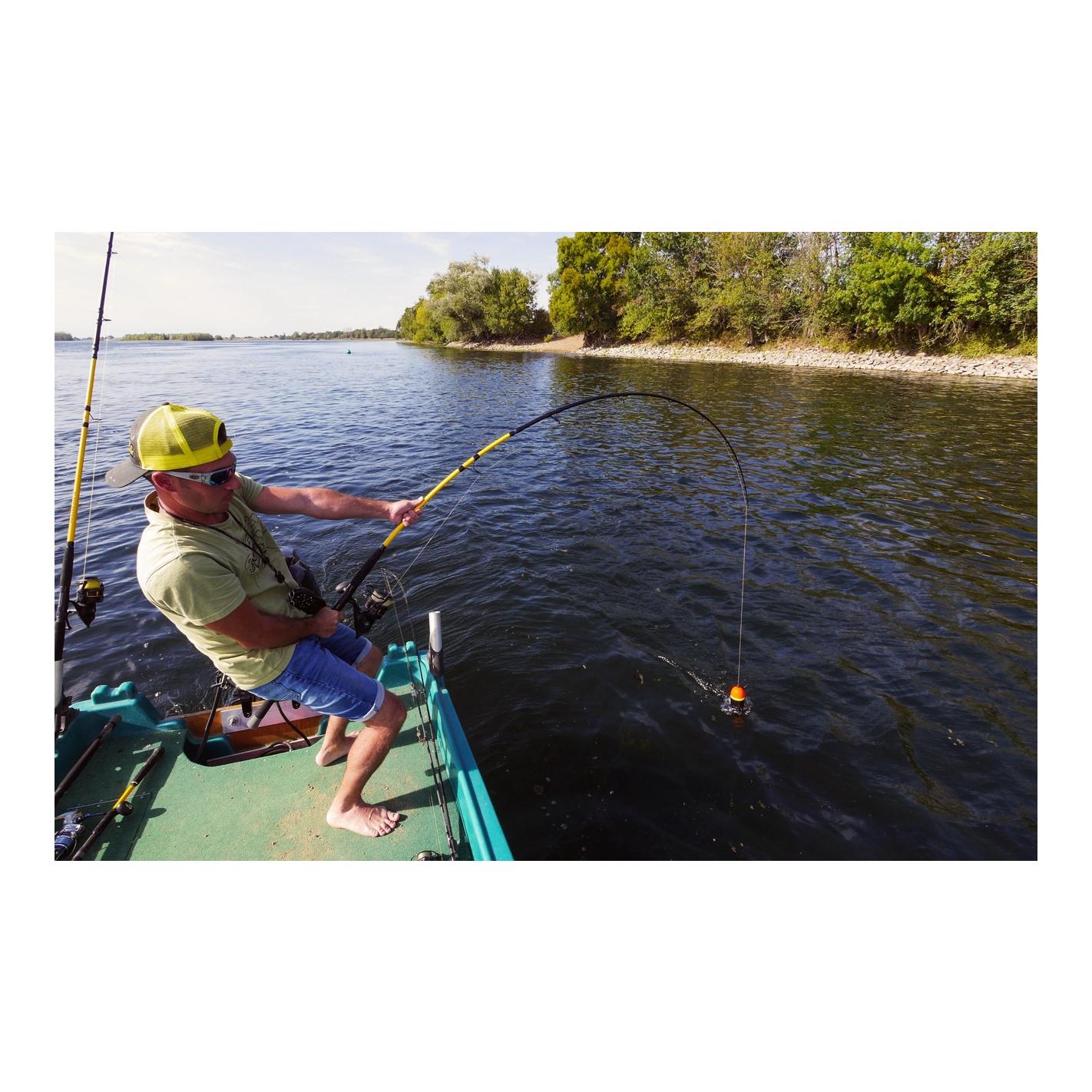 Black Cat Black Passion G2 Spin – Welsrute