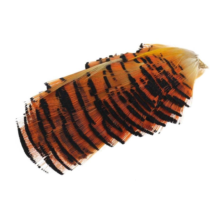 Image of The Fly Co. Golden Pheasant Natural Tippet - Fasan bei fischen.ch