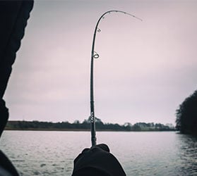 fischen-KAT-Spinnruten