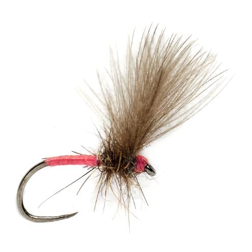 Image of Fulling Mill Roza's V Pink Secrects o.W. - Trockenfliege bei fischen.ch