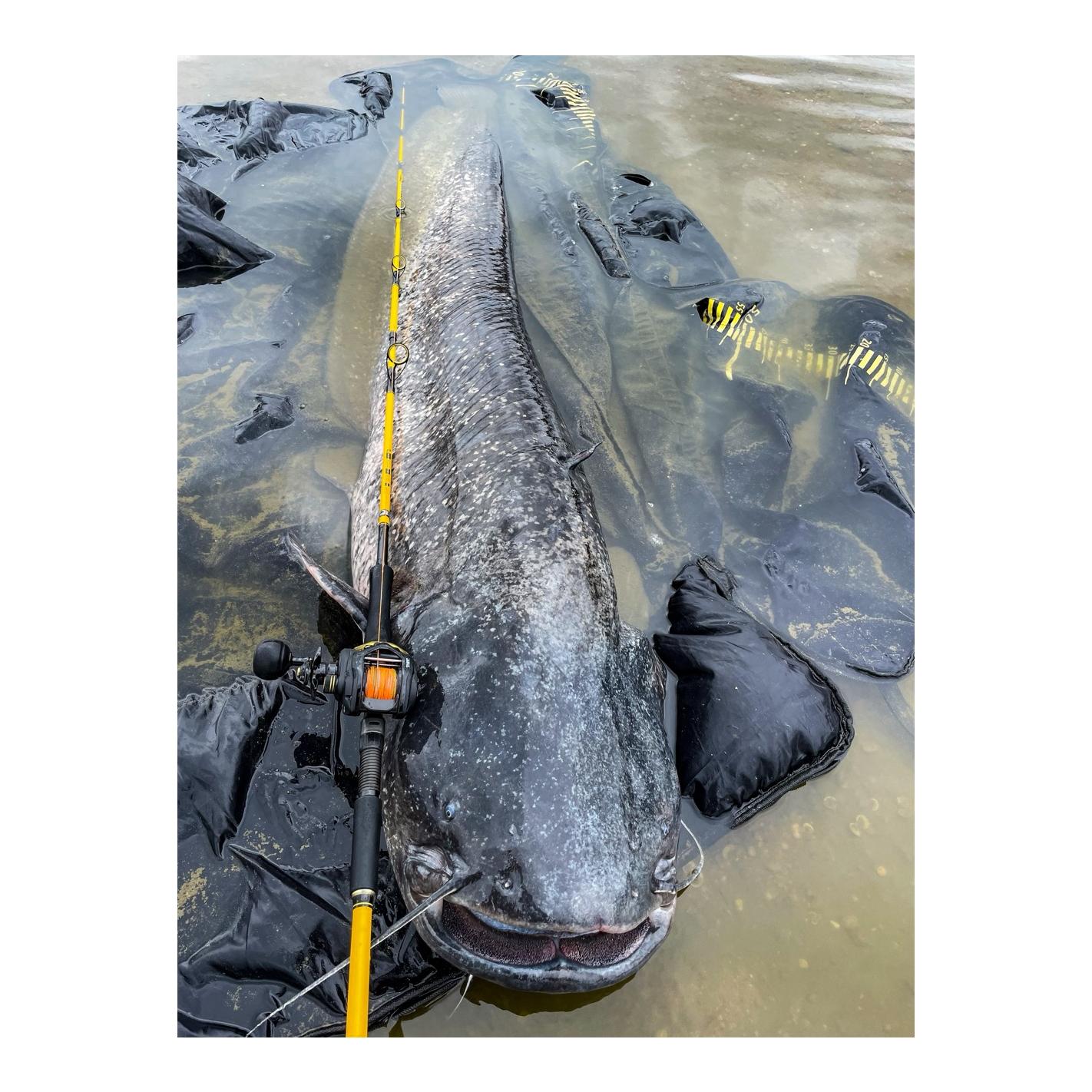 Black Cat Cast 301 LH - Linkshand-Baitcaster