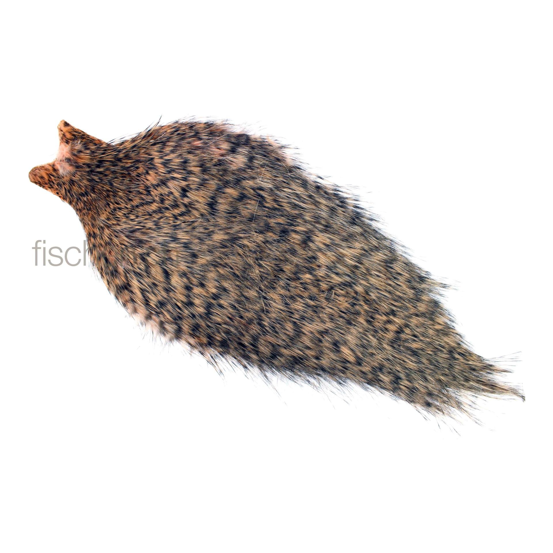 Image of Whiting Rooster Spey Cape - Grizzly/Salmon - Balg bei fischen.ch