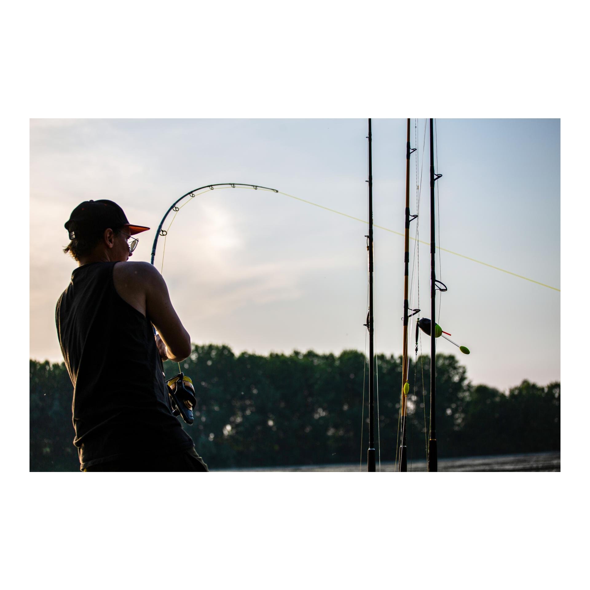 Black Cat Zeus Line G2, 250m