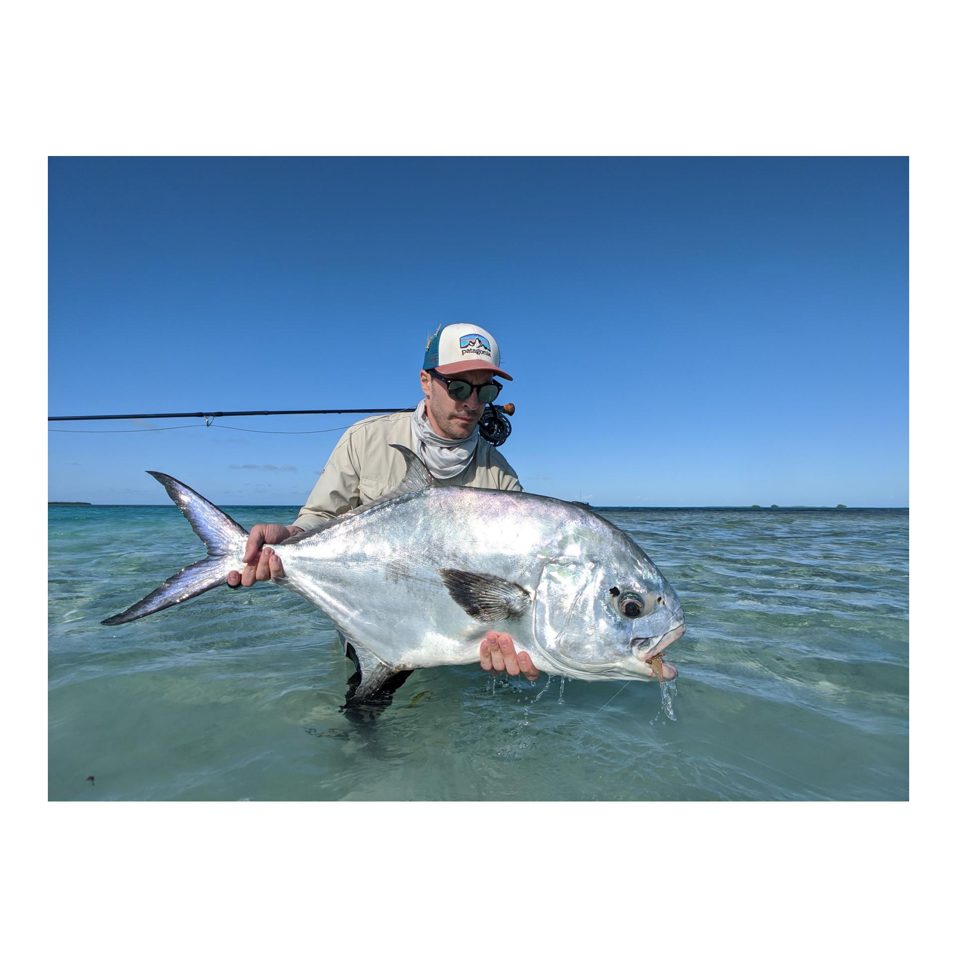 DirectCore Permit WF/F - Fliegenschnur