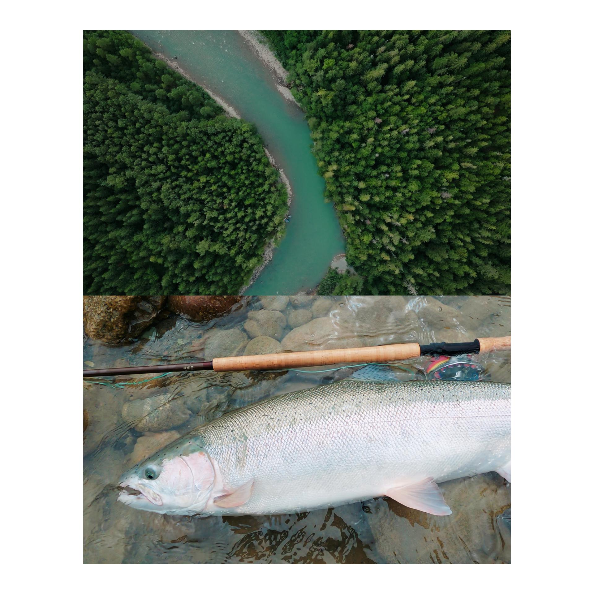 Fliegenrute REN 5pcs