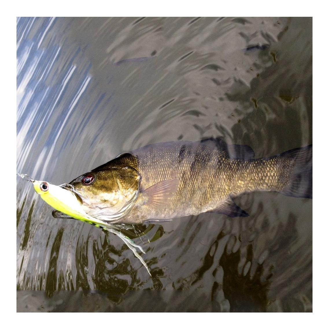 Fish Mask #10 - Têtes