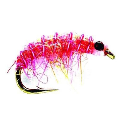 Micro Shrimp Pink - Nymphe