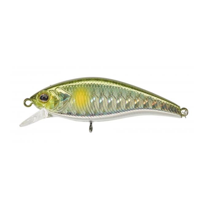 Flat Tricoroll 55 S Stripe Ayu – Poisson nageur