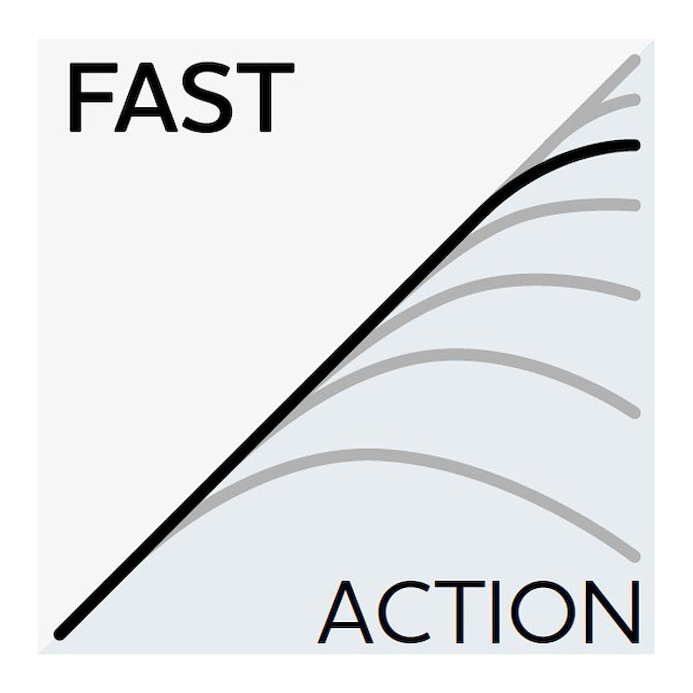 W6 Finesse T&C 2nd - Spinnrute