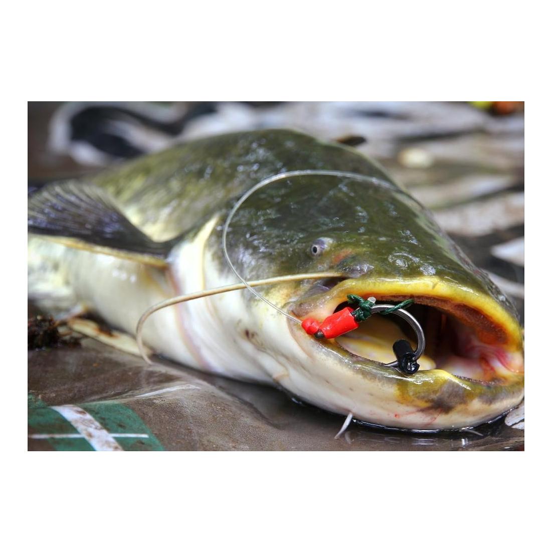 Mono Line 1,2mm Vorfachschnur Welsangeln