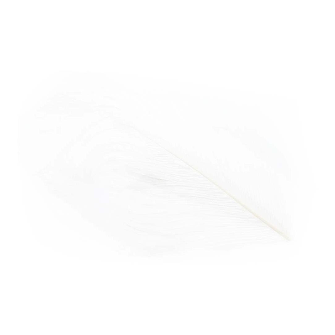 Image of Wapsi Ostrich Herl - White - Strauss bei fischen.ch