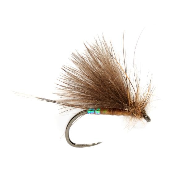 Image of Fulling Mill Roza's Pearl Butt Olive o.W. - Trockenfliege bei fischen.ch