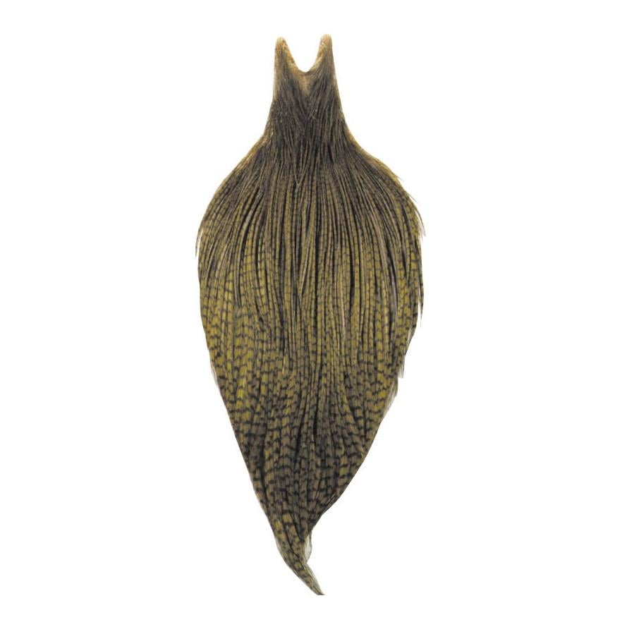 Image of Whiting Dry Fly Hackle - Grizzly/Dk Olive - Balg/Cape - Dark Olive - bei fischen.ch