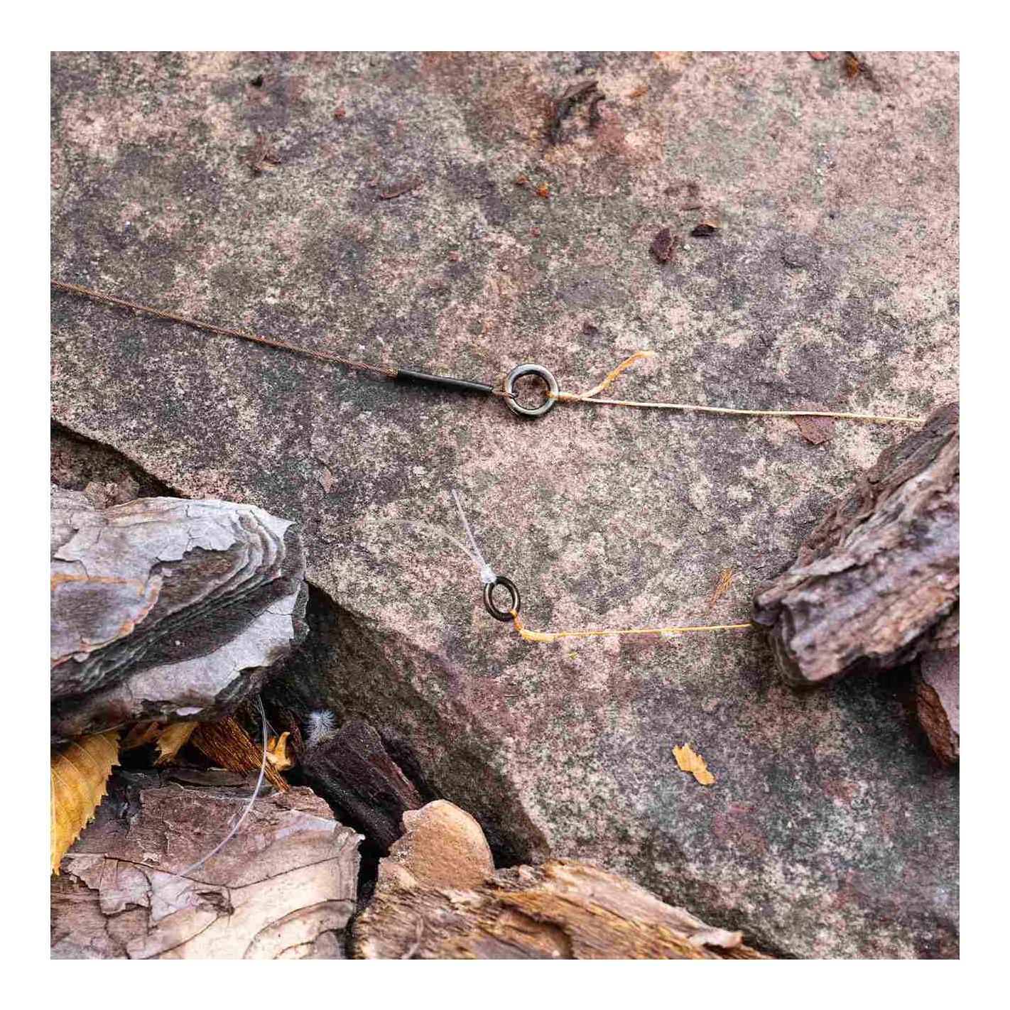 Solid Ring Predator 10 Stk.