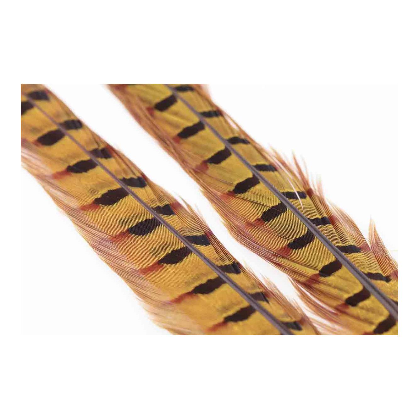 Image of Wapsi Ringneck Pheasant Tail Feathers Golden Yellow - Fasan bei fischen.ch