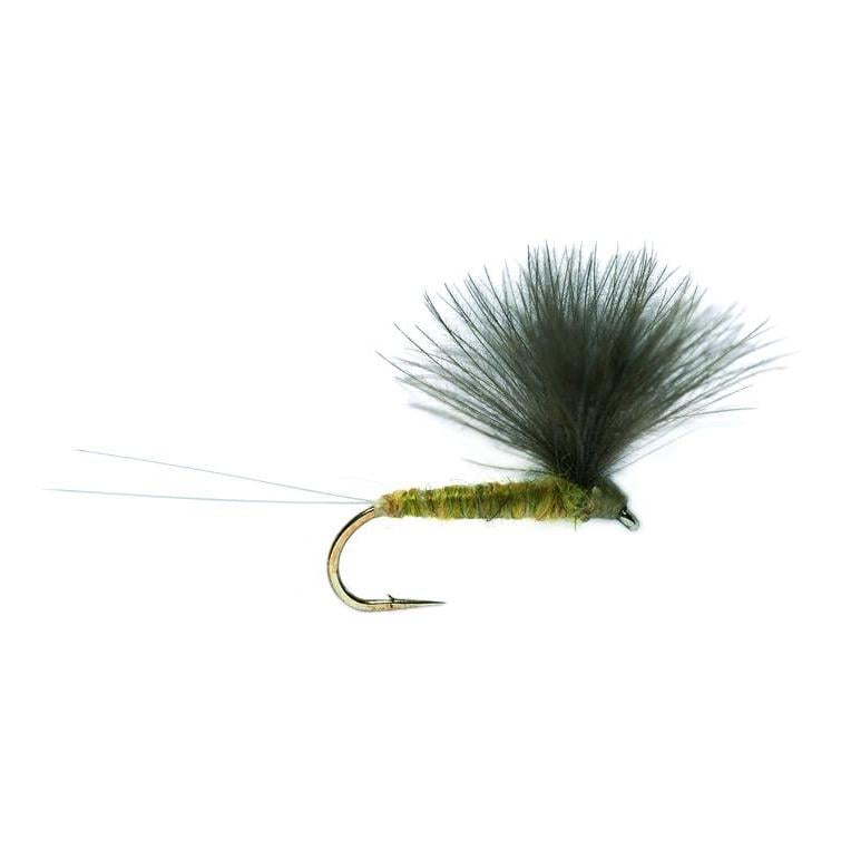 Image of Fulling Mill V Wing Olive - Trockenfliege bei fischen.ch