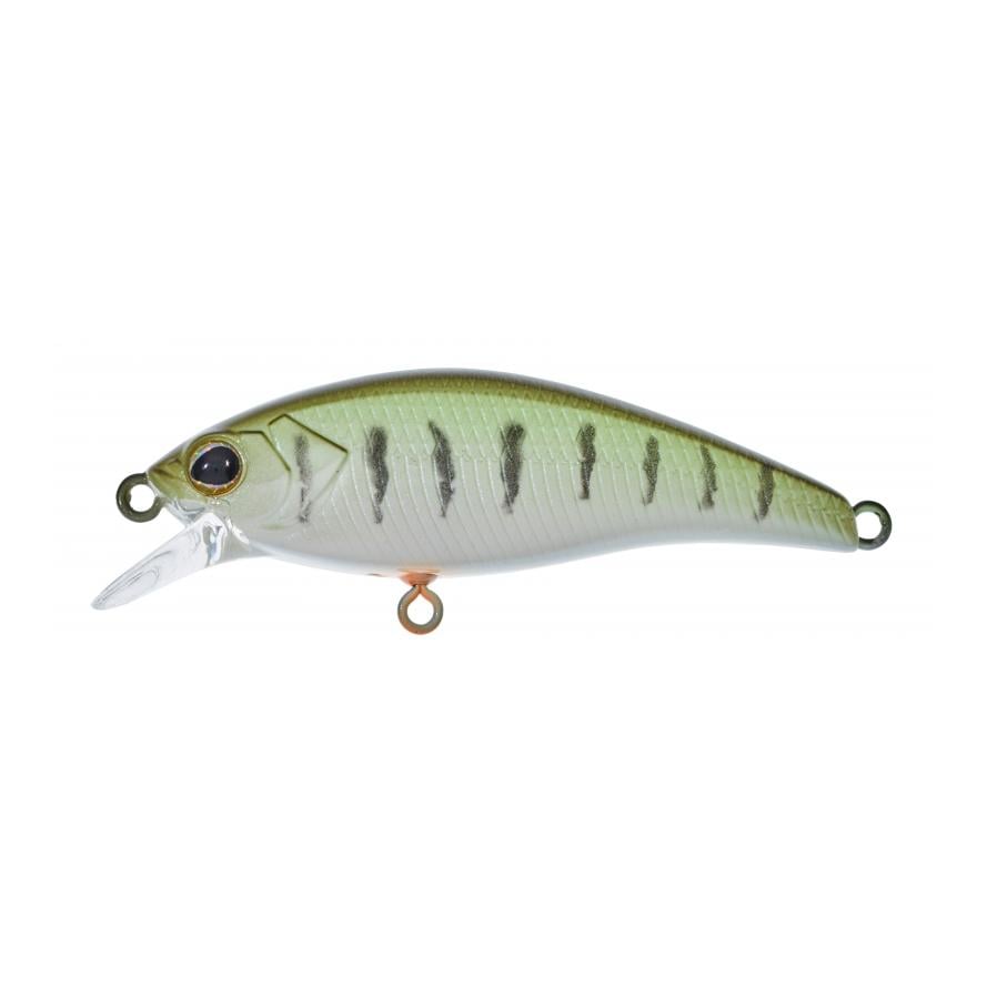 Flat Tricoroll 45 S Vairon – Poisson nageur