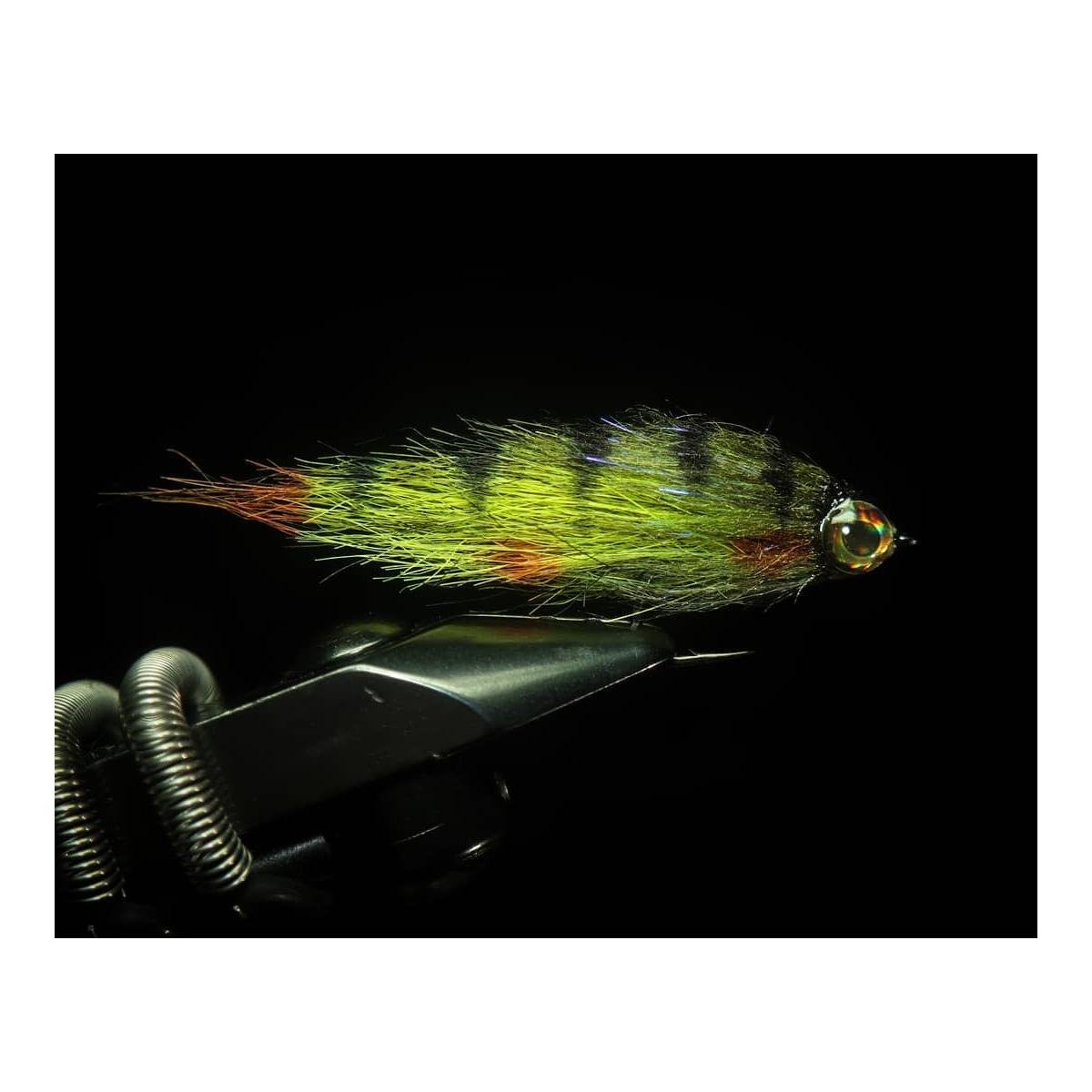 Living Eyes - Earth - Yeux