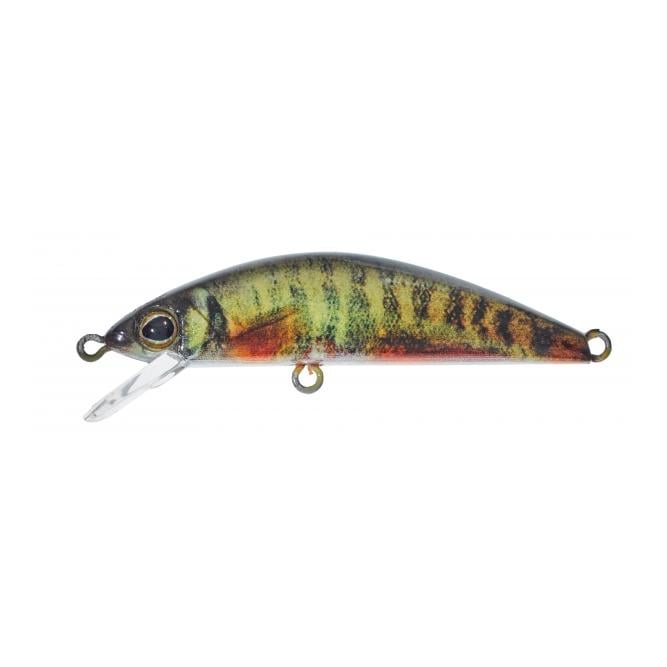 Tricoroll 55 HW RT Spawning Vairon - Wobbler