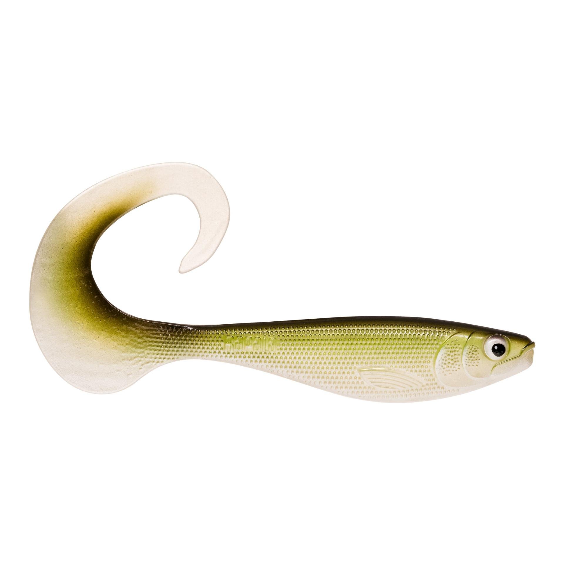 Minnow