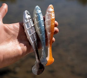 fischen-KAT-Gummikoeder