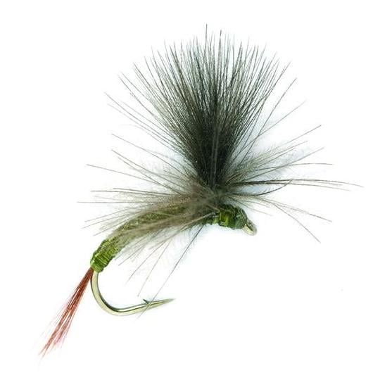 Image of Fulling Mill CdC Para Emerger Olive - Trockenfliege bei fischen.ch