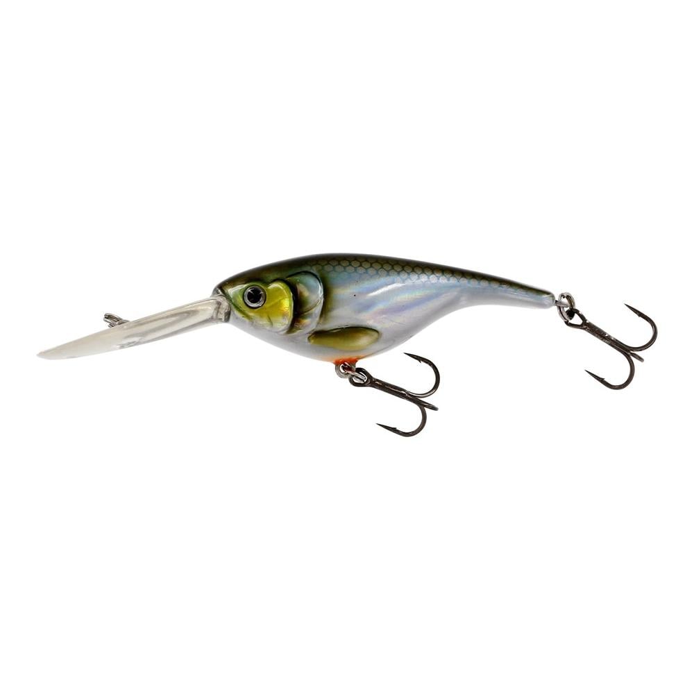Baby Bite DR Blueback Herring – Crankbait
