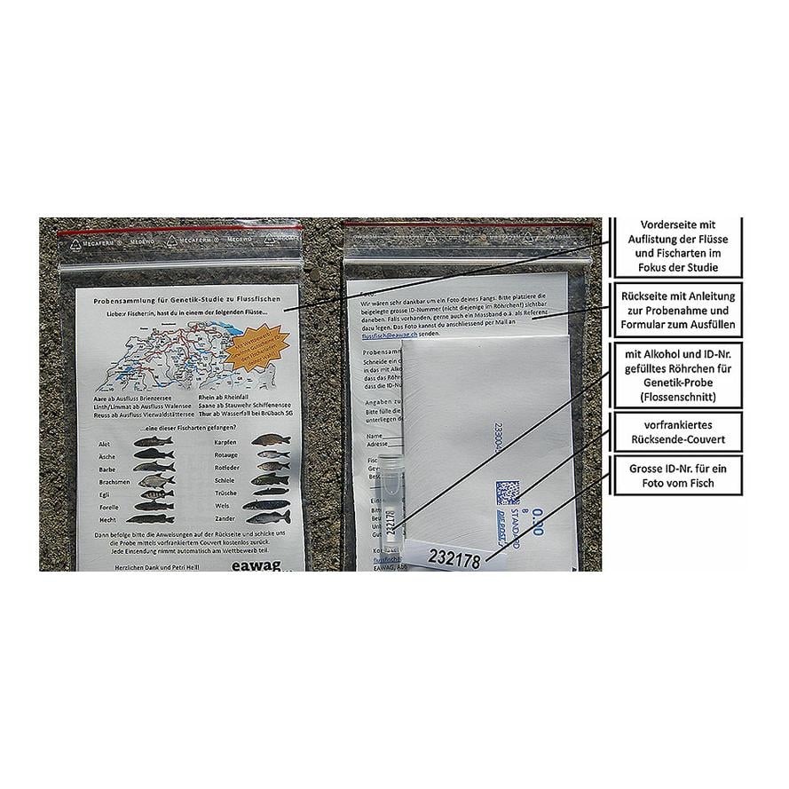 Flussfisch Sammelkits