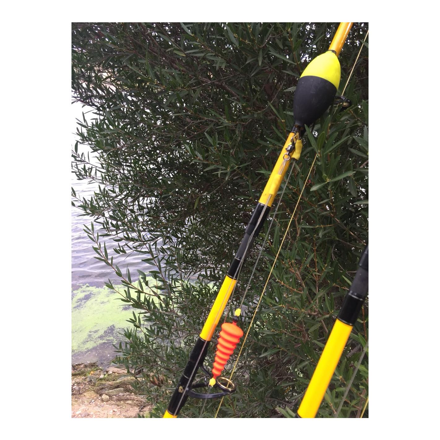 Black Cat U-Float Tree